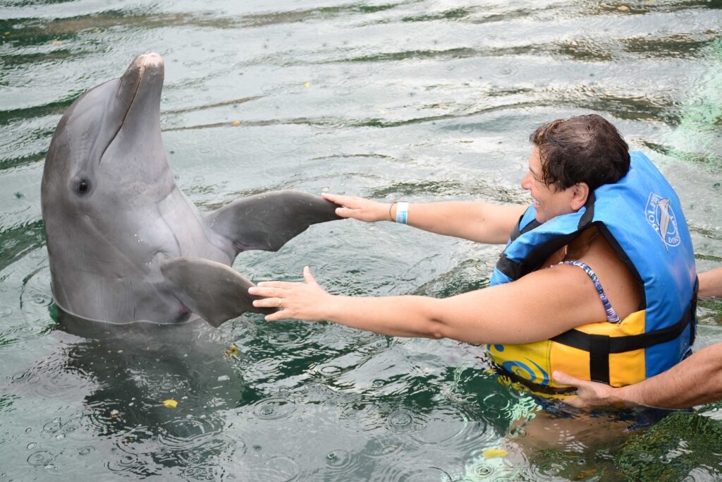 Dolphin Discovery Riviera Maya Puerto Aventuras Messico 17 Sulle Onde Della Vita