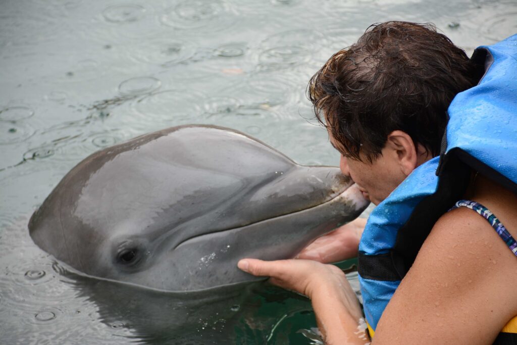 Dolphin Discovery Riviera Maya Puerto Aventuras Messico 17 Sulle Onde Della Vita
